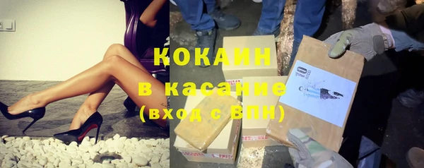 прущие грибы Новодвинск