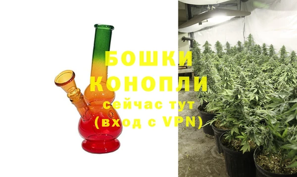 индика Нефтегорск