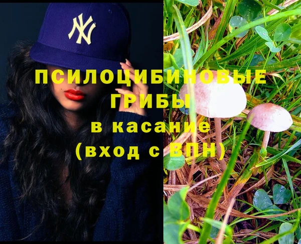 apvp Нефтекумск