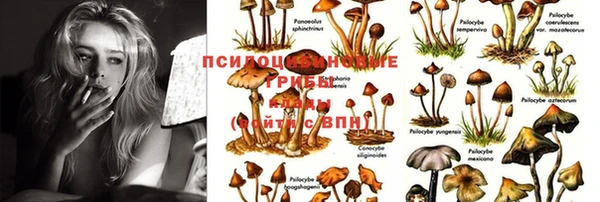 индика Нефтегорск