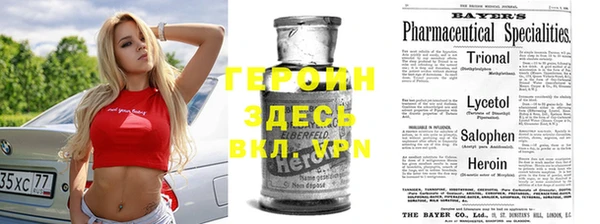 прущие грибы Новодвинск