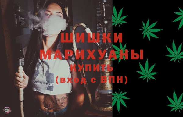 индика Нефтегорск